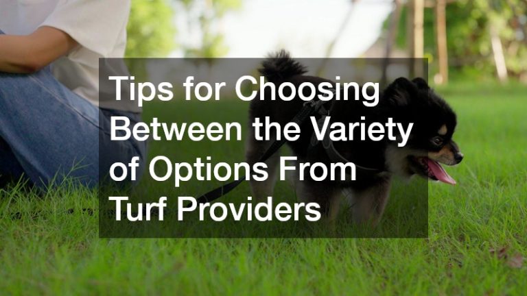 Tips for Choosing From the Variety of Options From Turf Providers